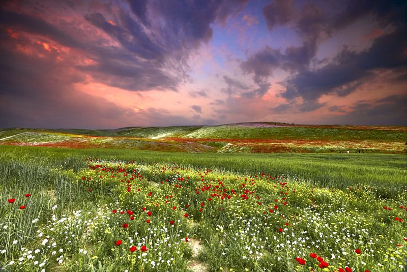 Райские поля Золотой Долины! Вахшская долина. Бохтар(Курган -Тюбе)-Уялы- Обикиик(Хуросон). Хатлон. фото превью