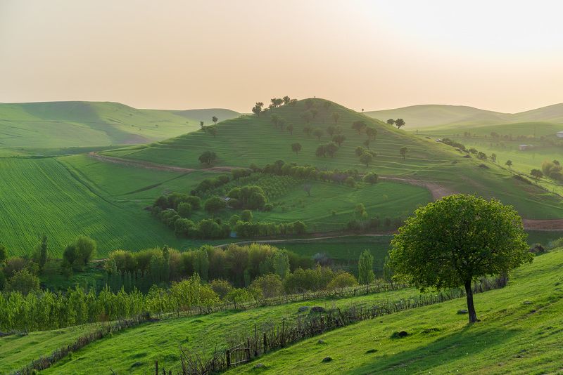 узбекистан, uzbekistan  фото превью
