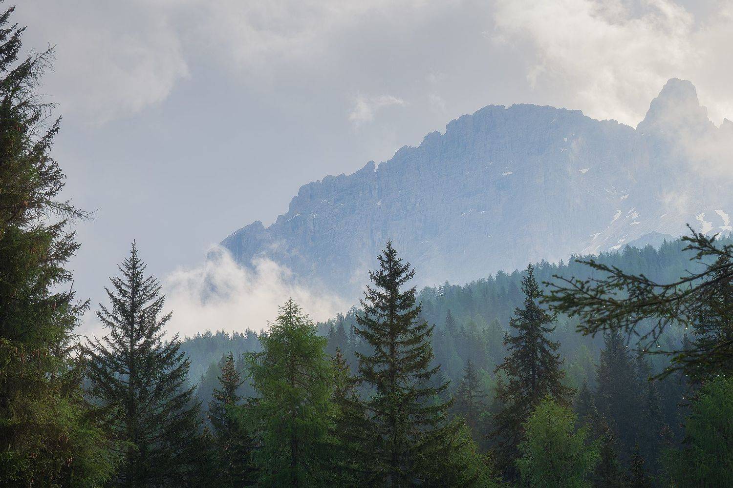 , Быков Сергей