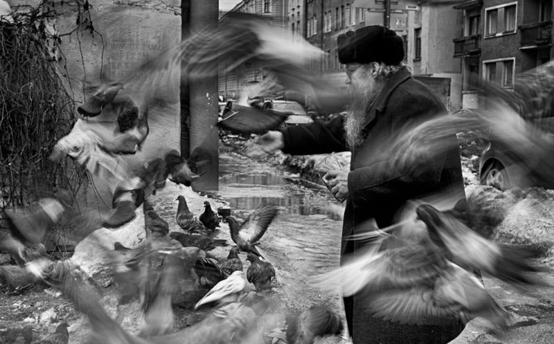 городские ангелы фото превью