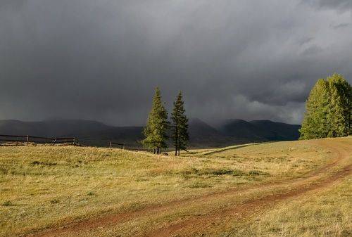 Перед грозой