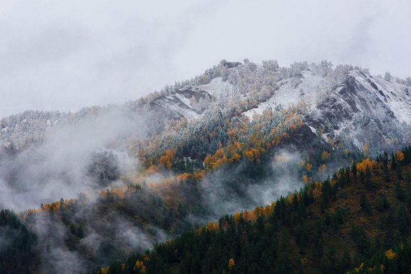 горы, горный алтай, чуйский тракт, пейзаж, алтай, зима, россия Снежные вершины Алтая фото превью