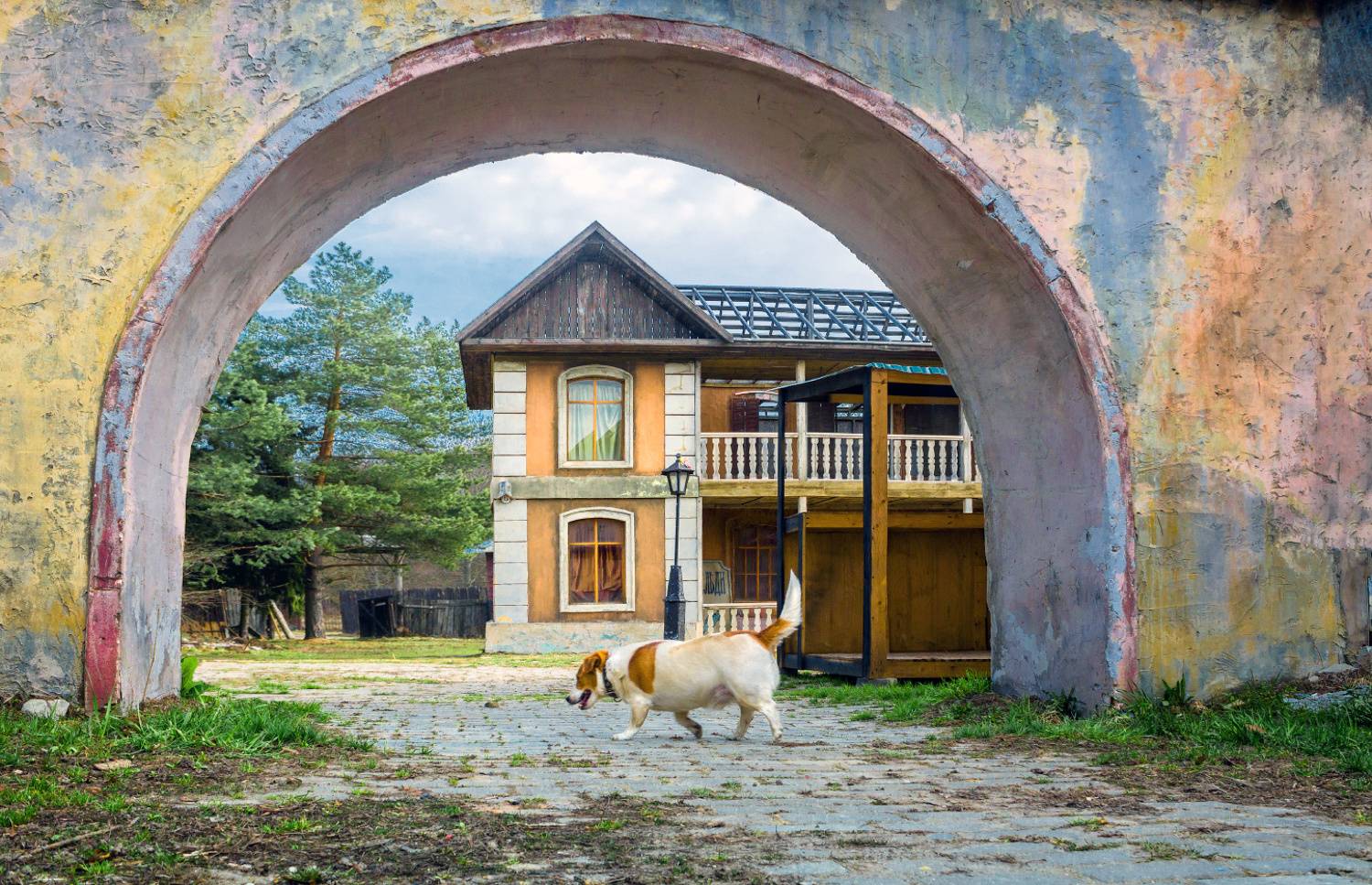 город, сказка, собака, Виктор Климкин