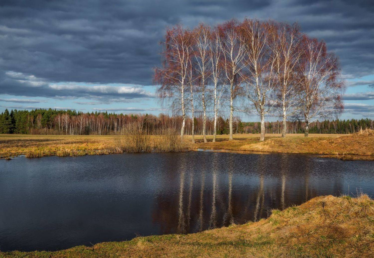 , Евгений Ерохин