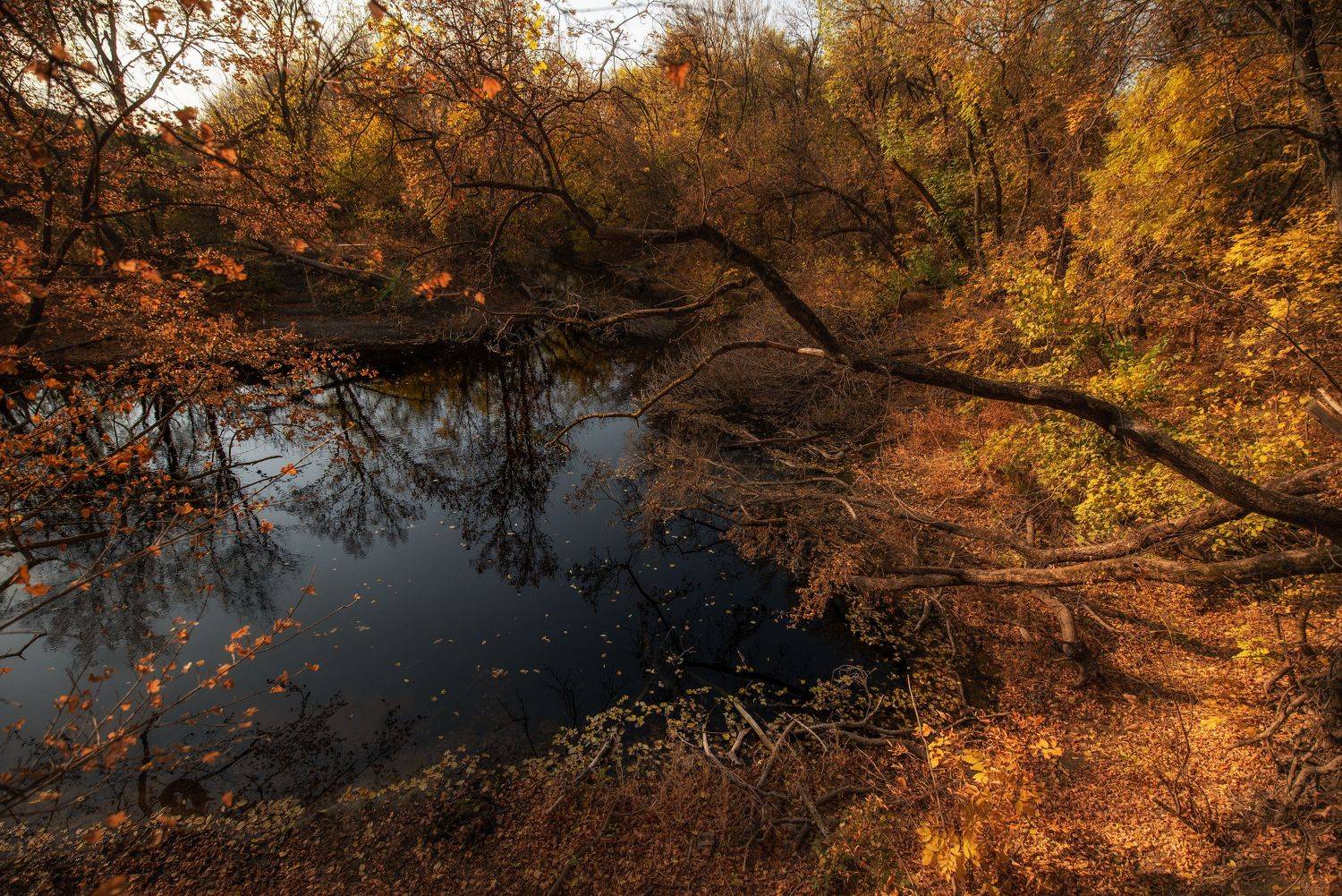 , Дмитрий Величко
