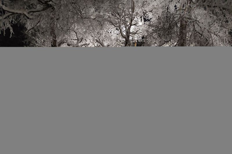 променад фото превью