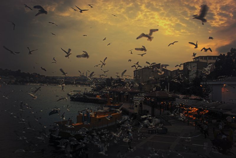 street,citylife,sunset,istanbul, starvation фото превью