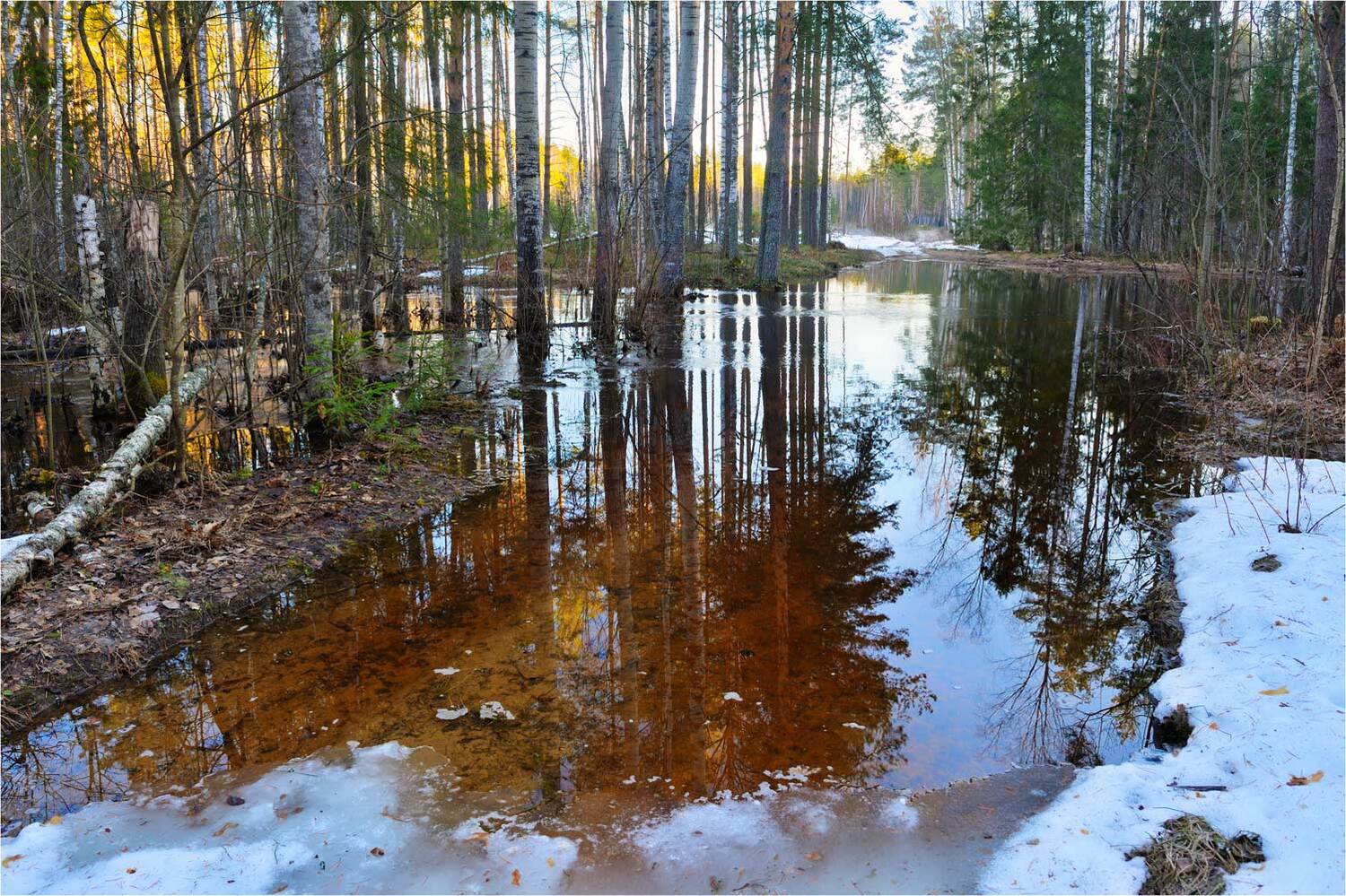 , Анатолий Гулин