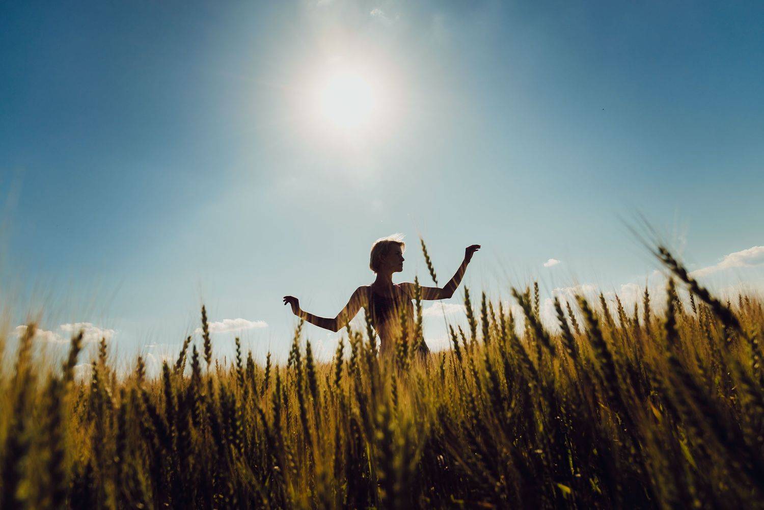 , Олег Раевский