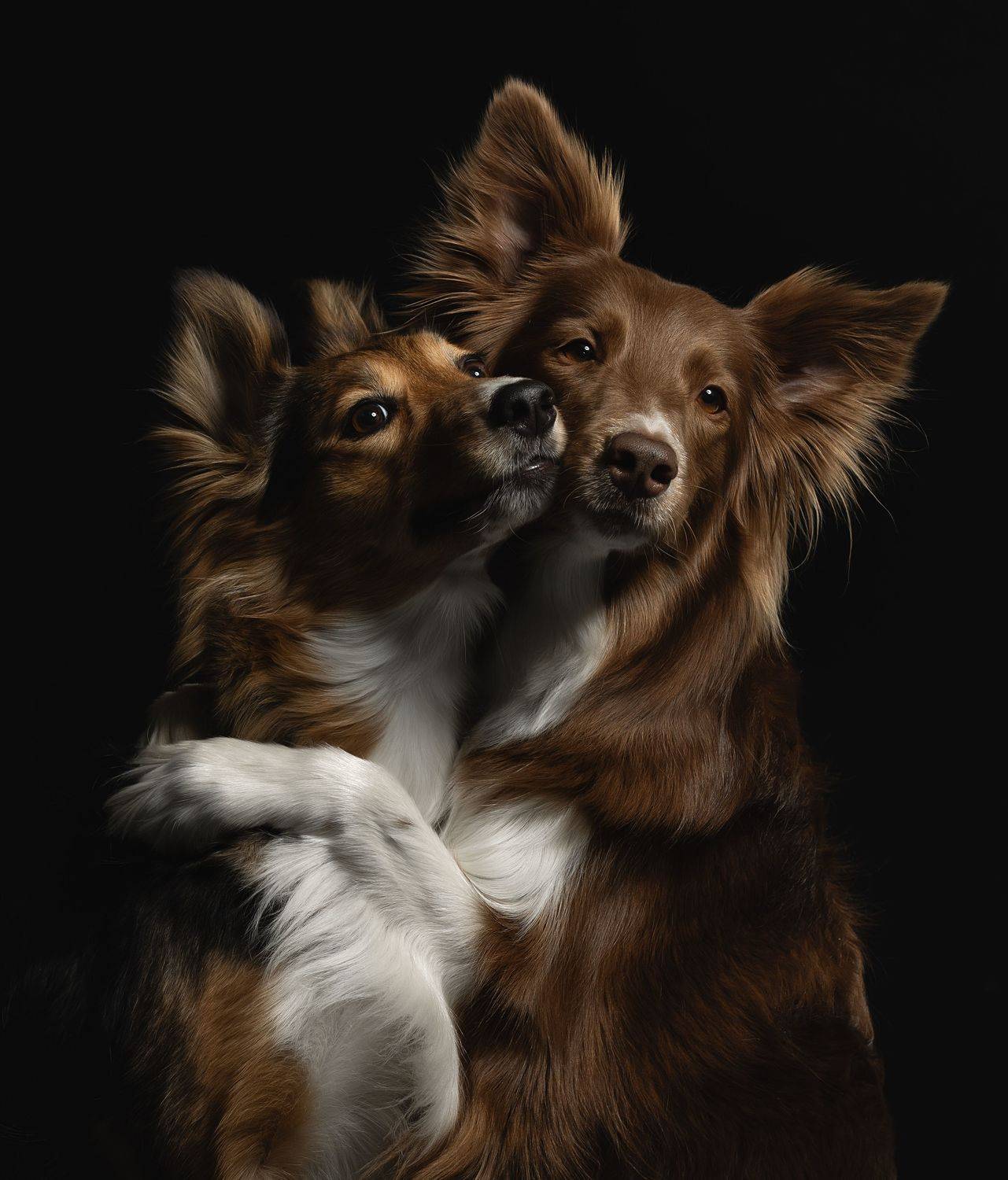 , Светлана Писарева