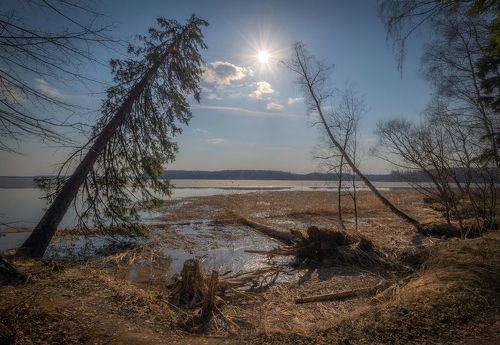 Поклонение солнцу