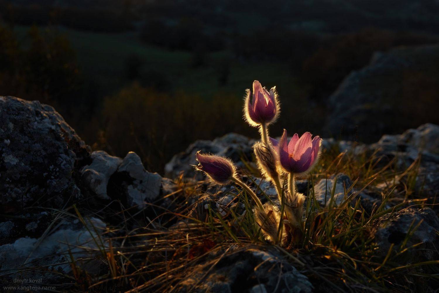 дмитр коваль, гималаи и крым вне треков, пейзаж как магия, Коваль Дмитр