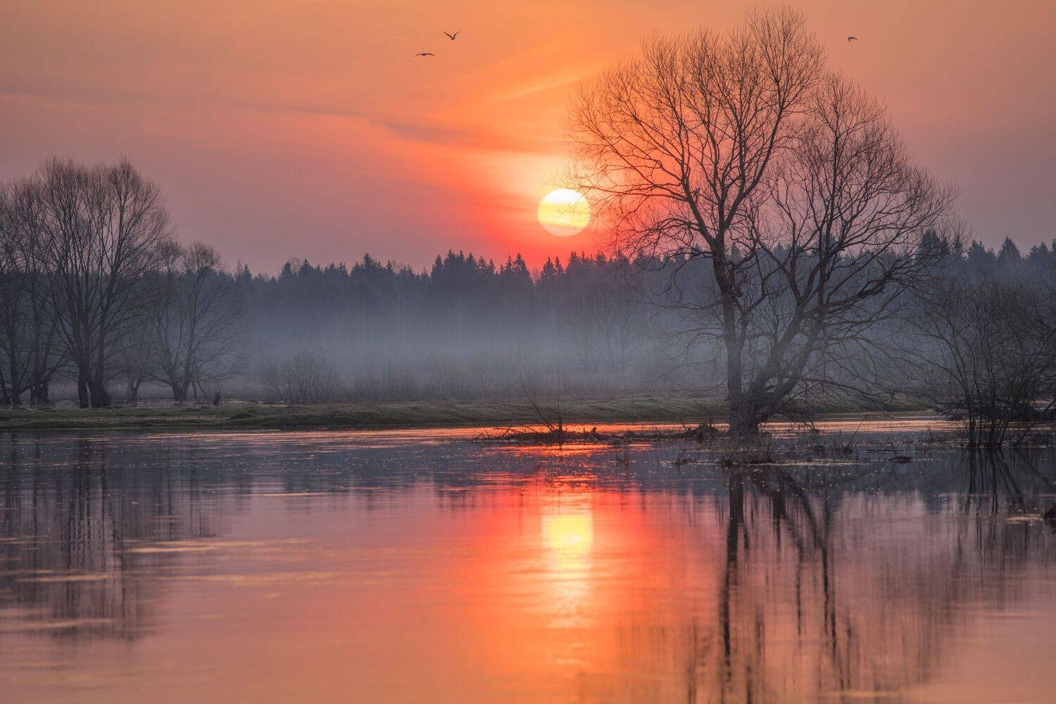 филипповское разлив, Захарова Наталья