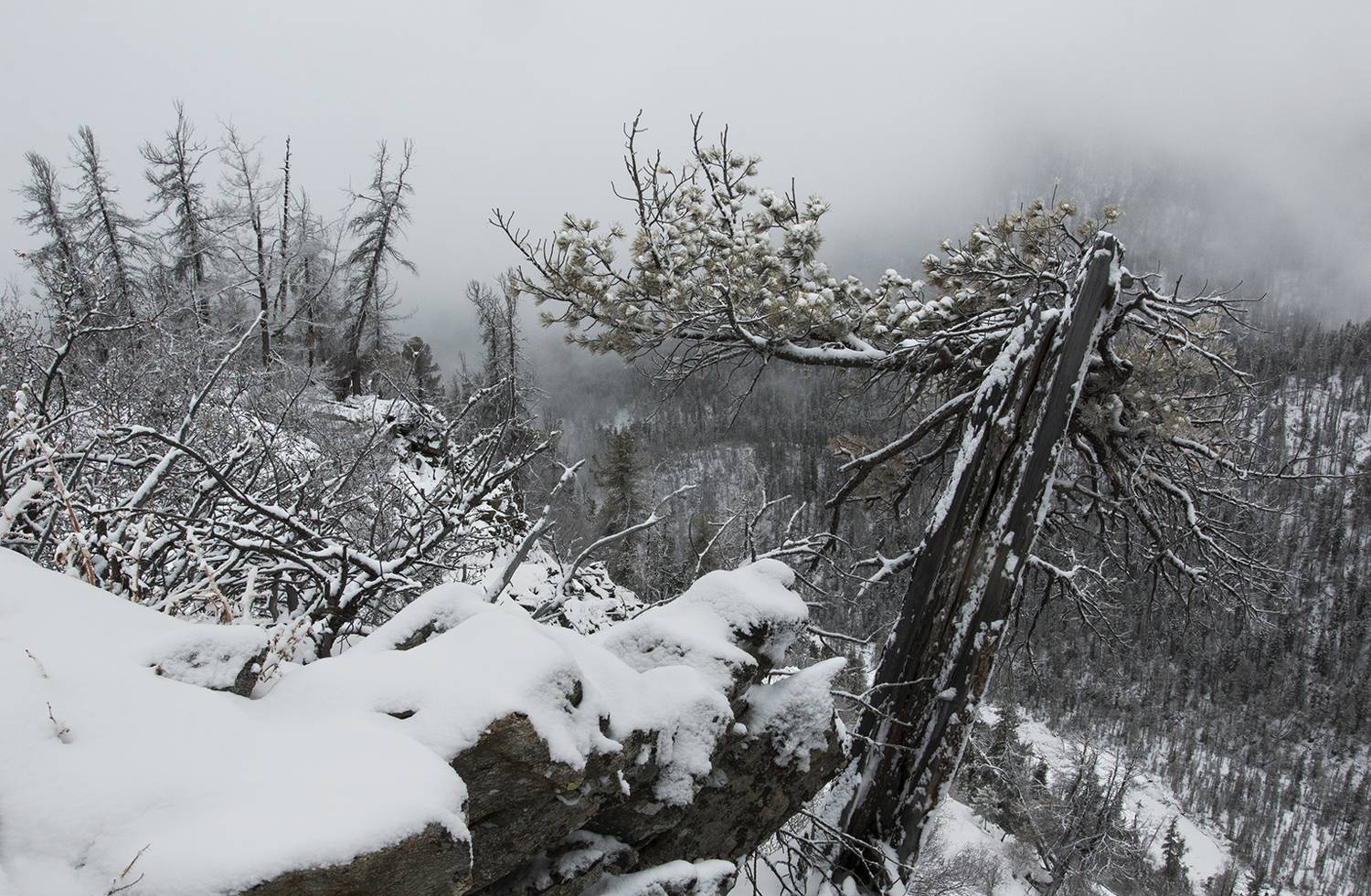 восточные, саяны, тункинские, гольцы, Андрей Таничев
