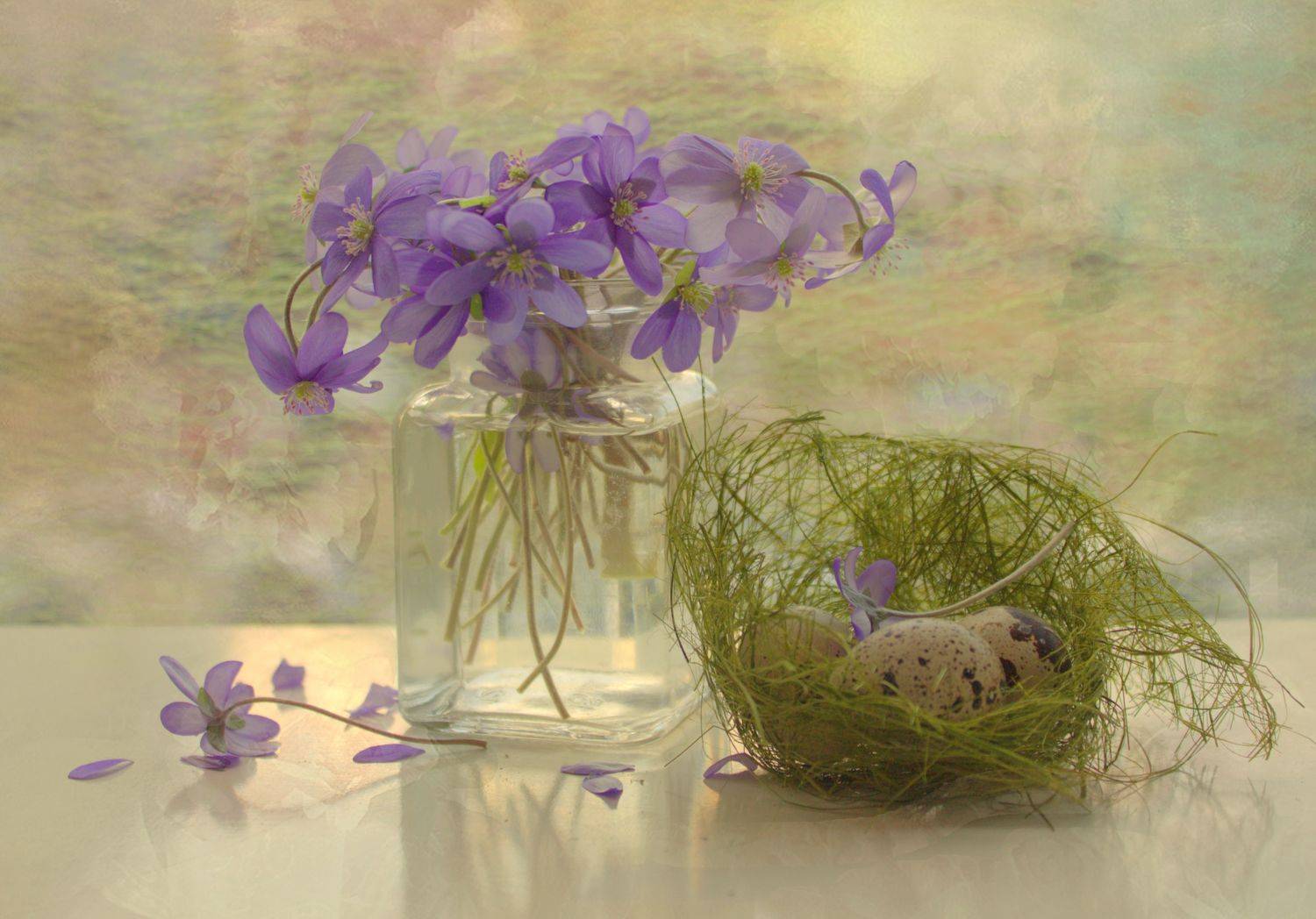 , Хохлова Наталья