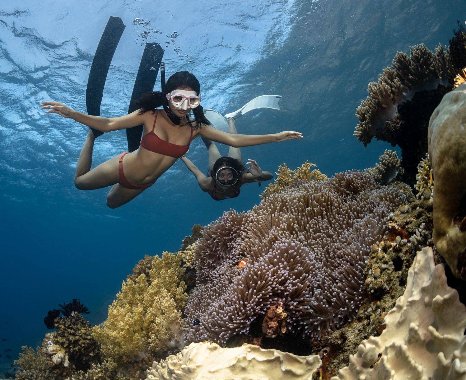 , Савин Андрей