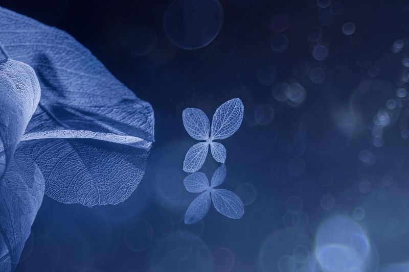 close-up Meditation фото превью