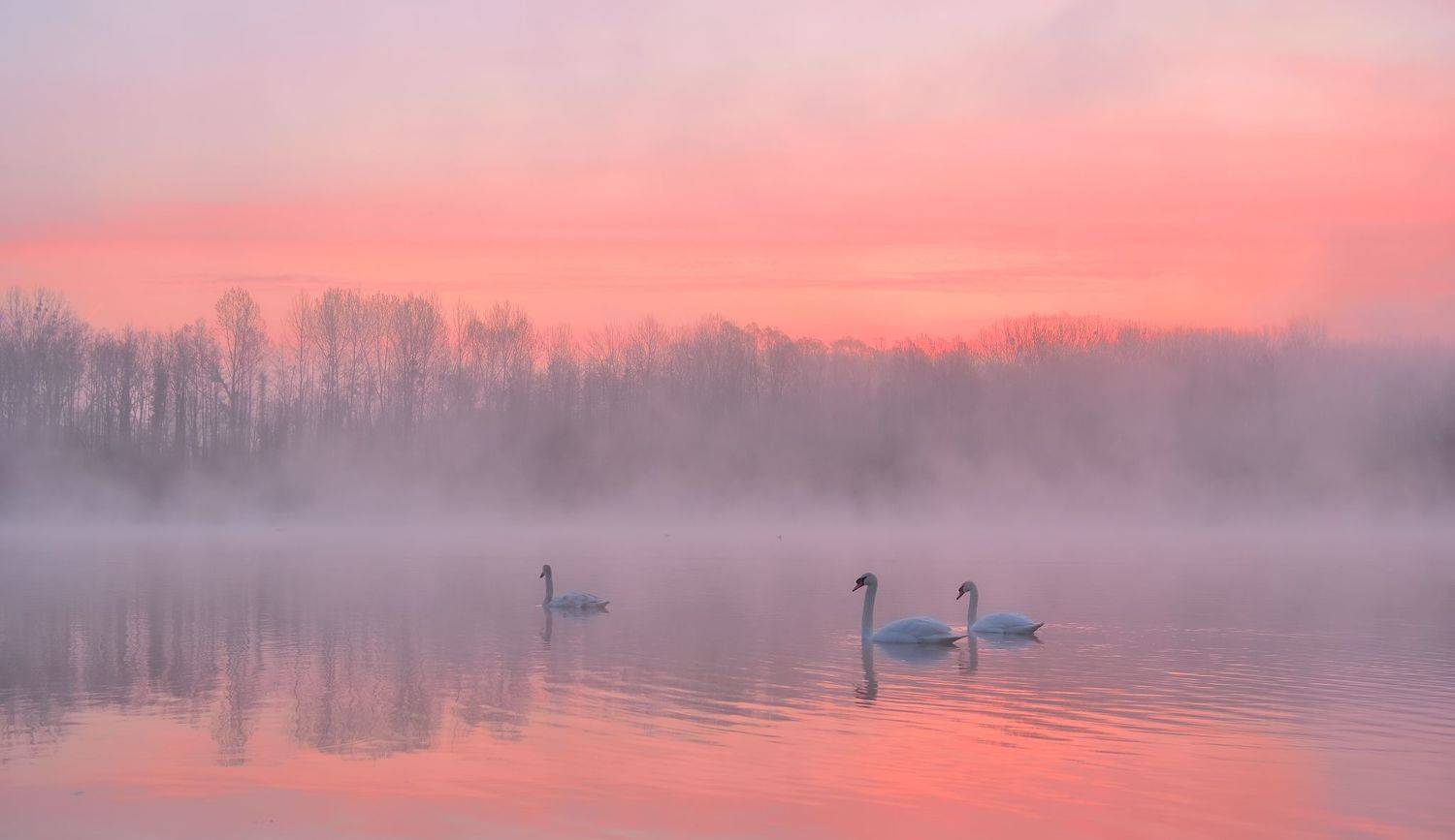 , Руслан Авдевич