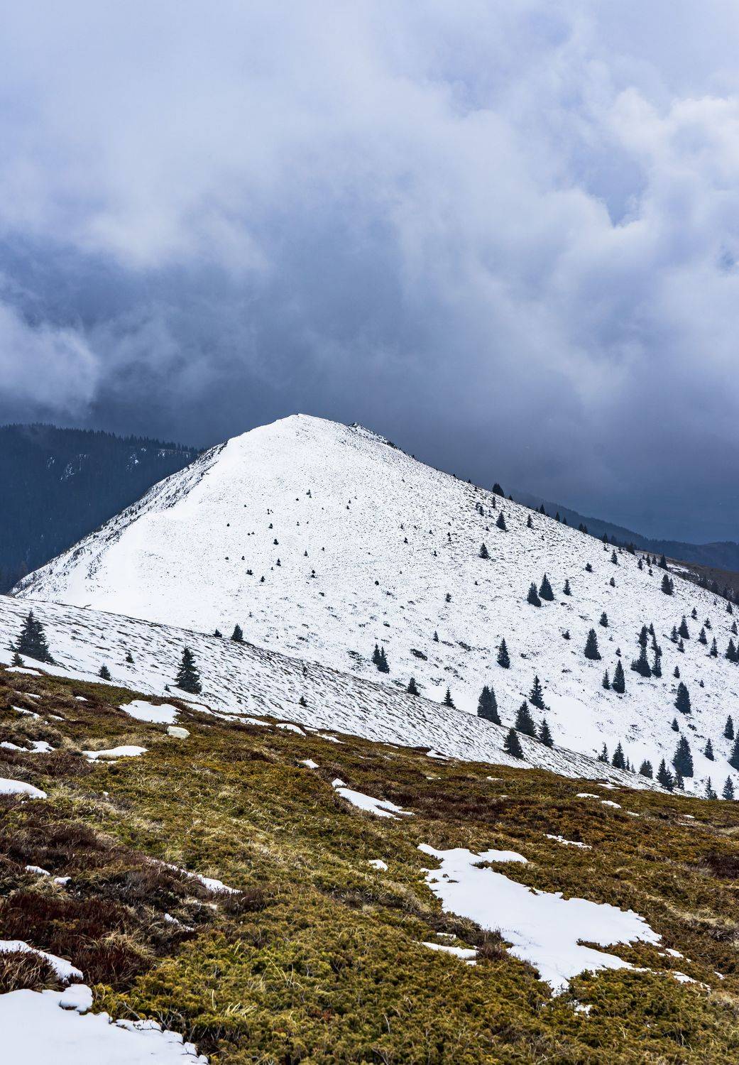 snow vertical, viktor demidov