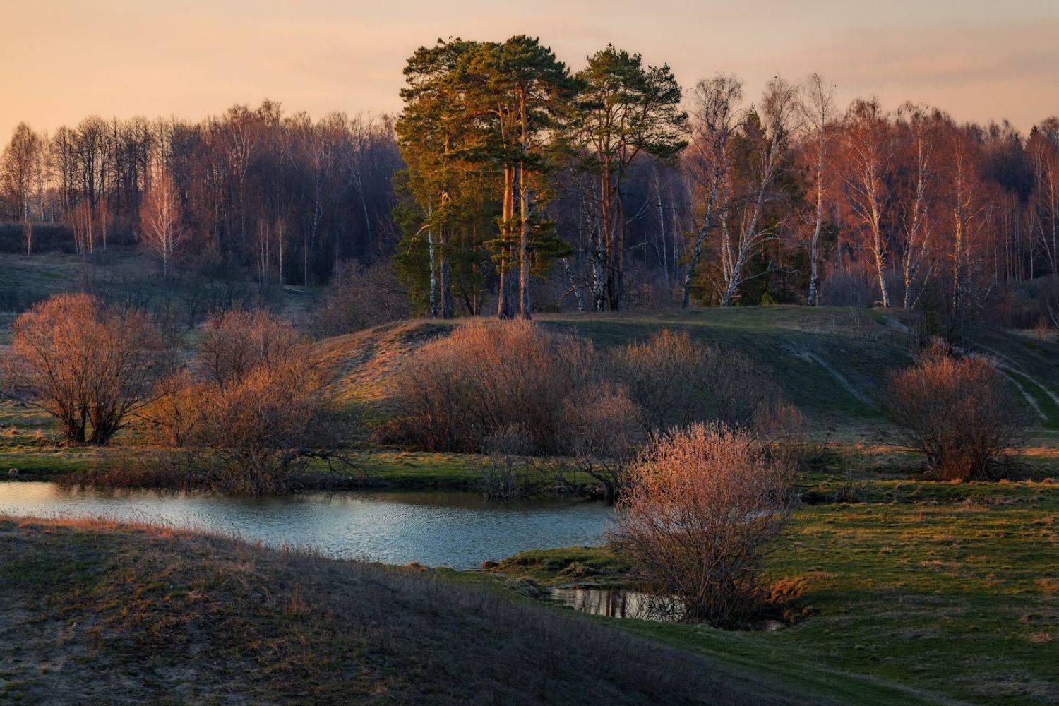 , Евгений Ерохин