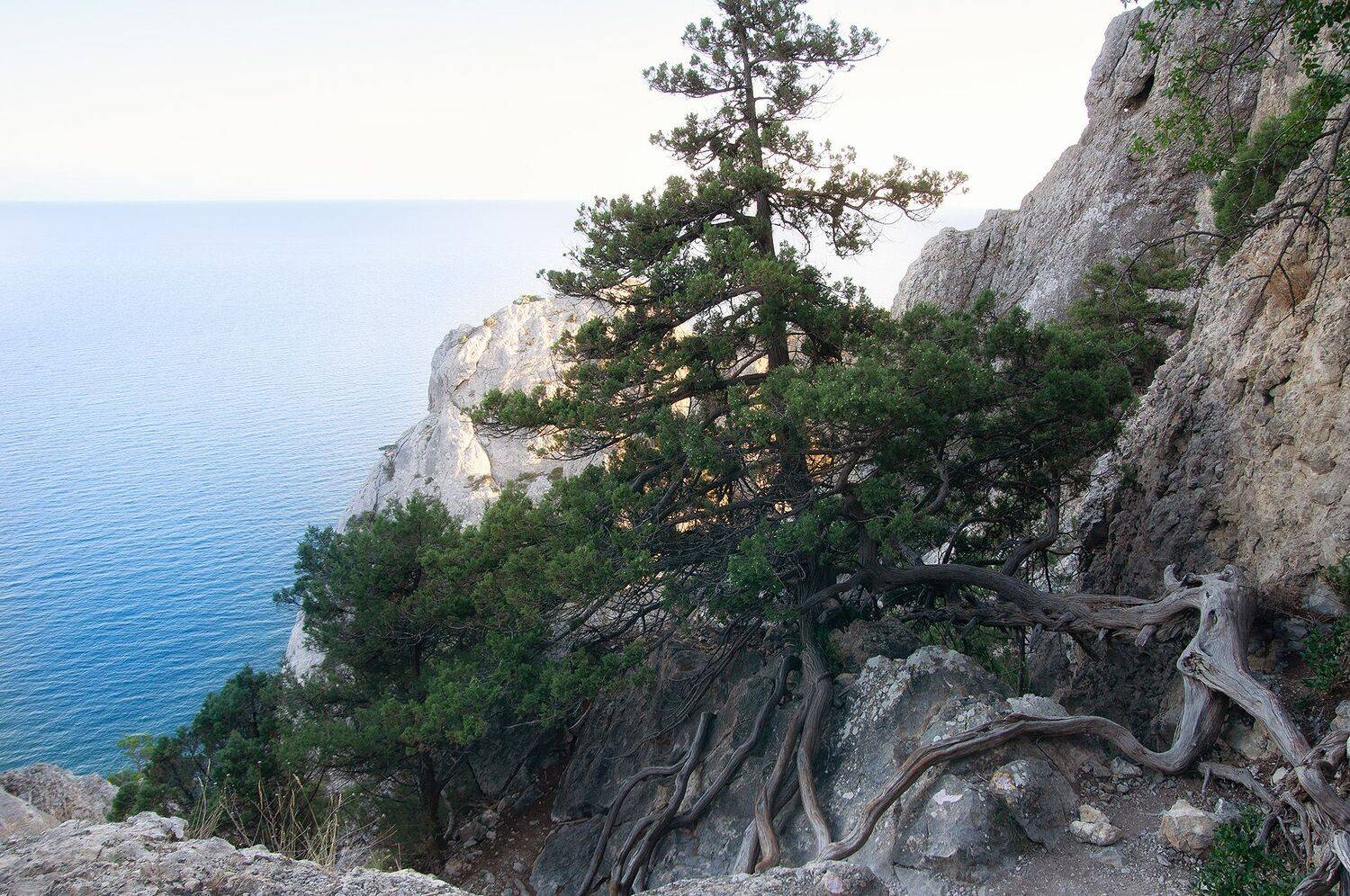 крым, судак, новый свет, Чавыкина Анастасия