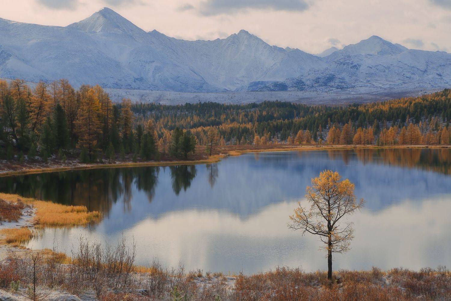 , Евгений Зинов