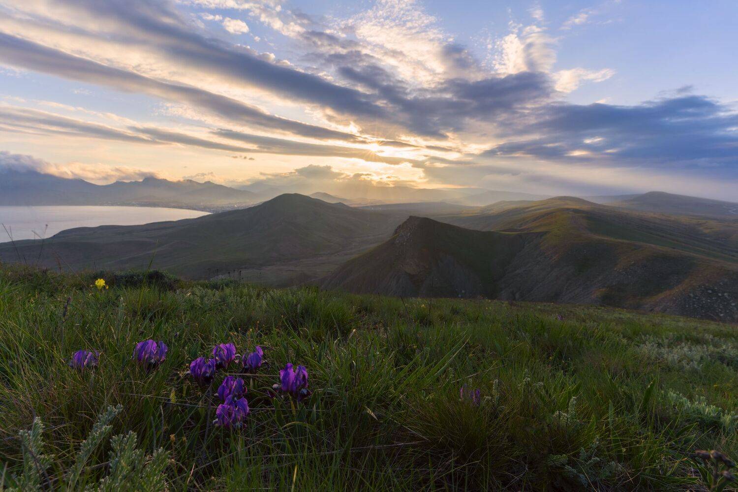 , Юлия Мальцева