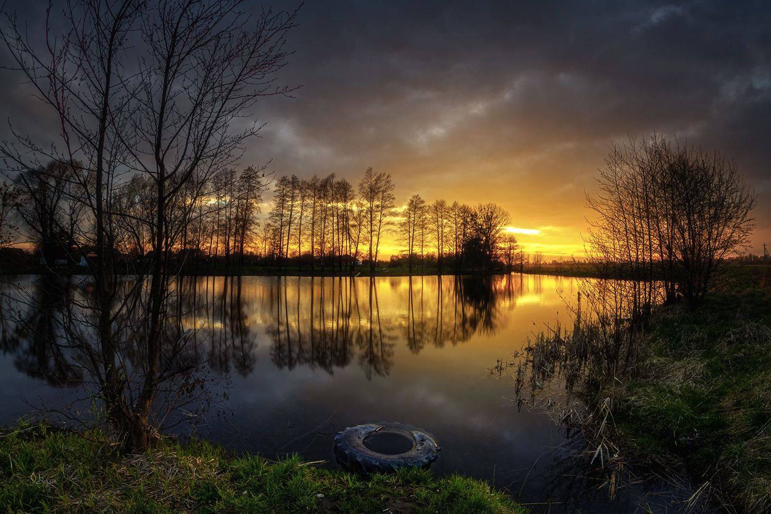 Беларусь, Серж Домбровский