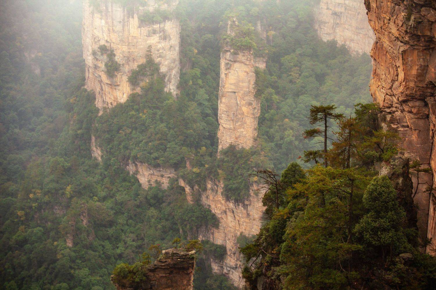 , Усманов Рашид