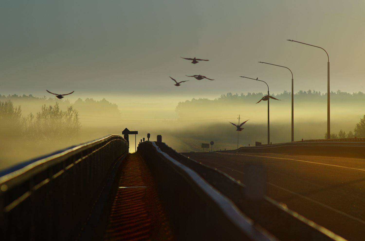 , Сергей Шляга