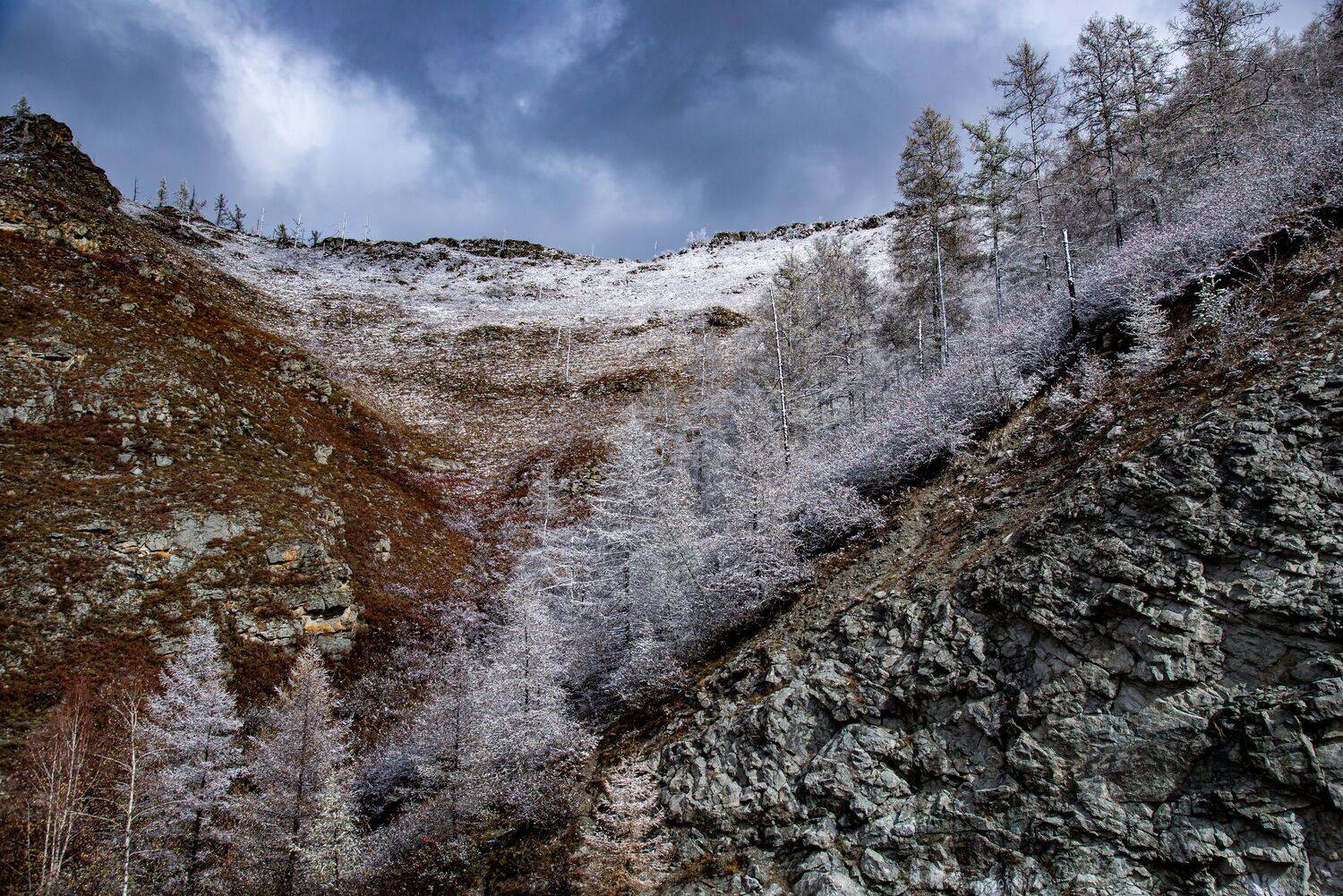 алтай. осень. горы., Евгений Дроботенко