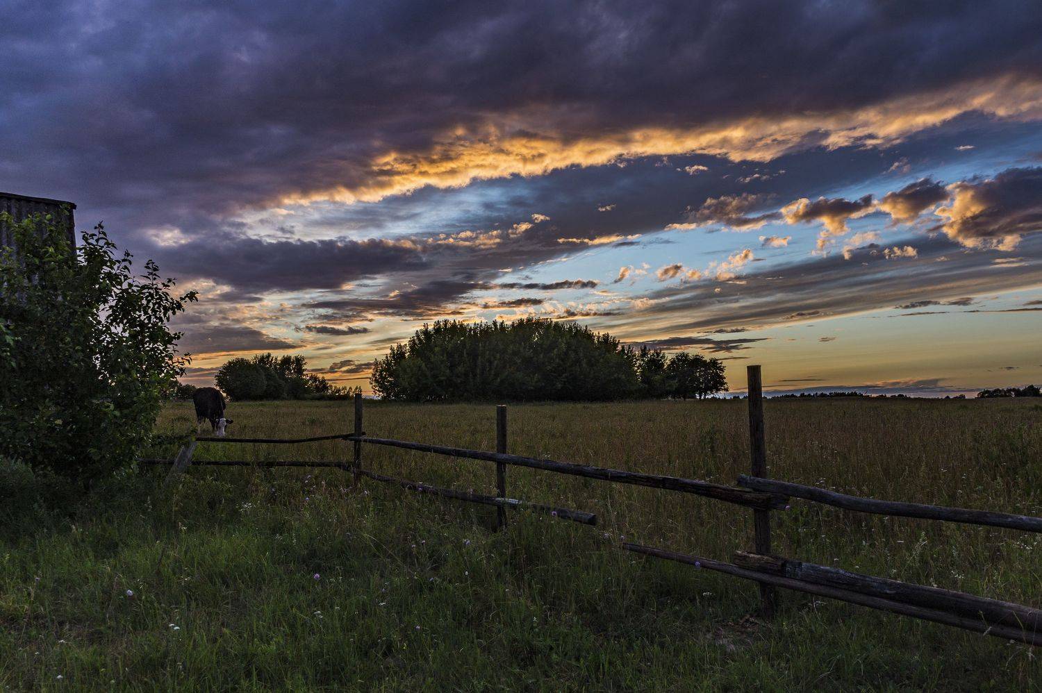 лето., Шитов Александр