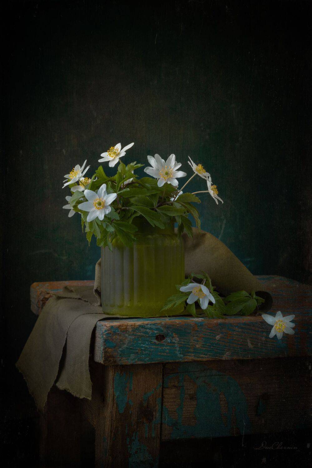 , Чернин Дмитрий