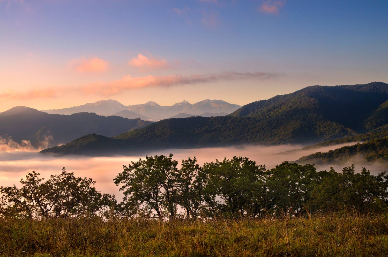 , Сергей Тихомиров