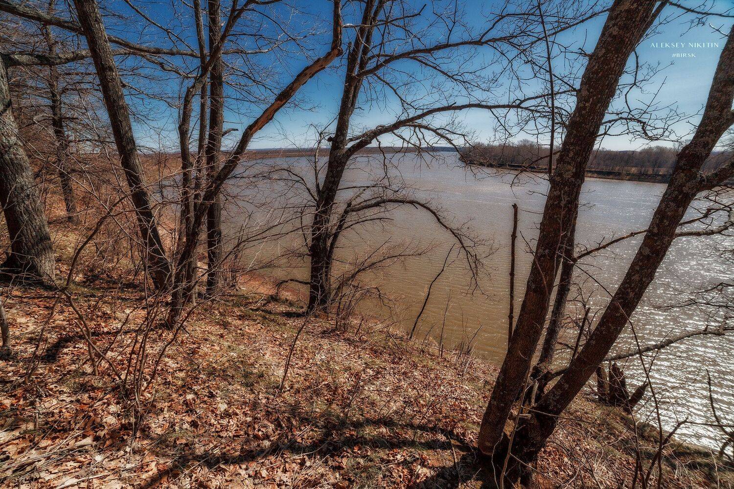 , Никитин Алексей