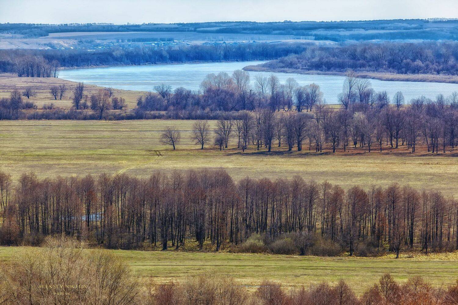 , Никитин Алексей