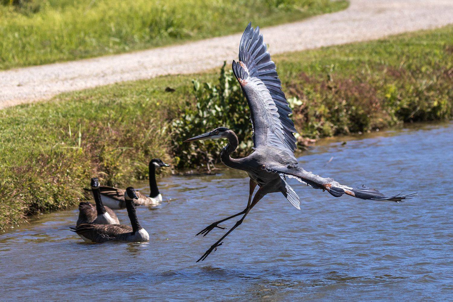 , Леонид Дьяченко