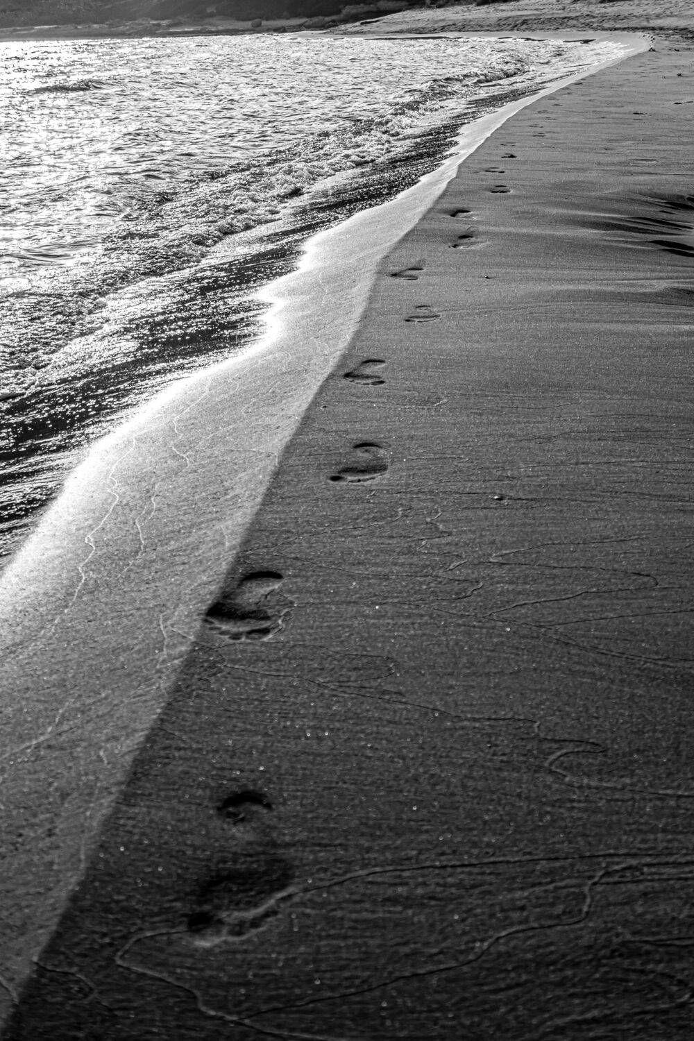 , Шилов Александр