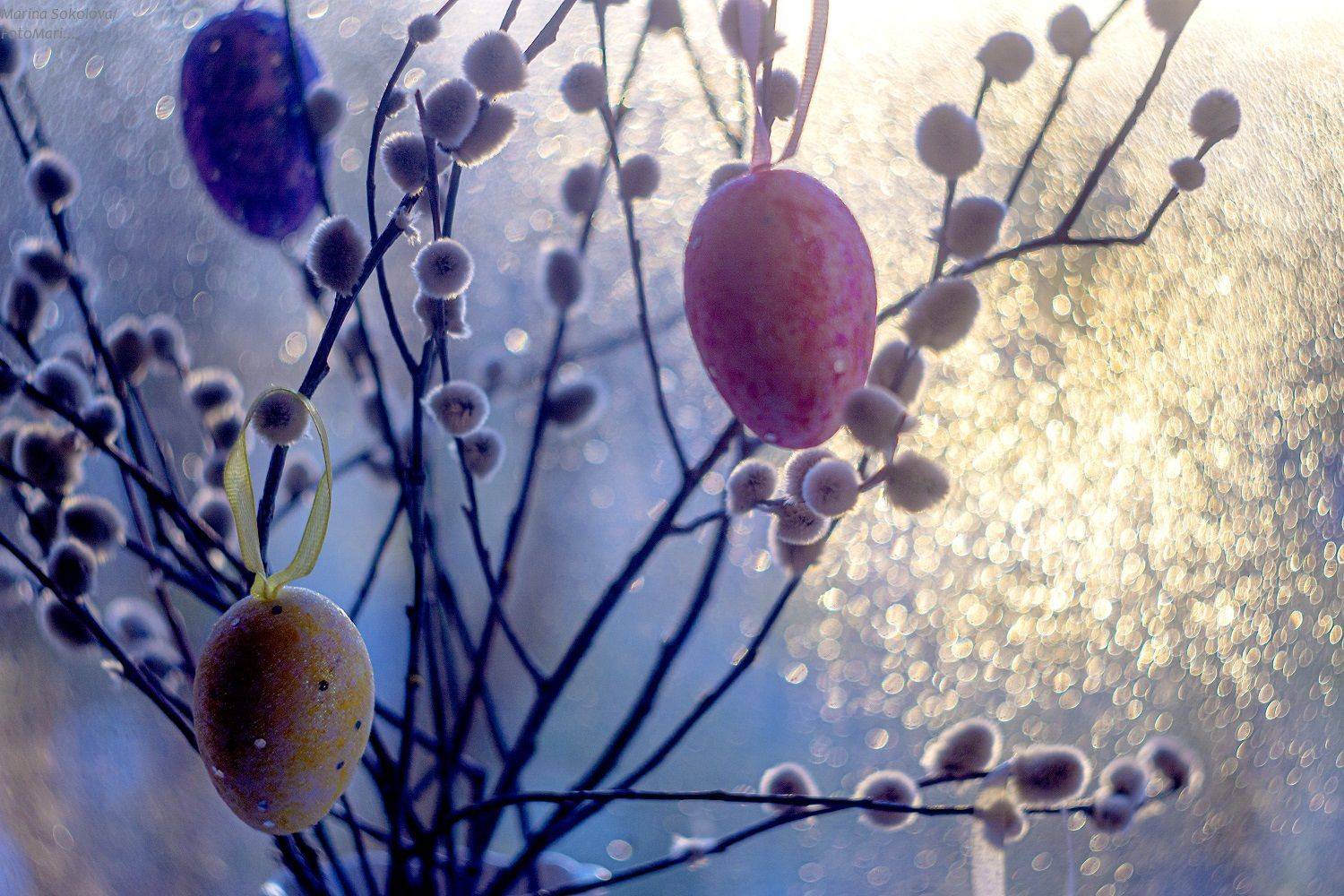 , Марина Соколова