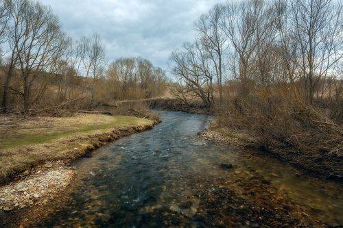 Тульская область