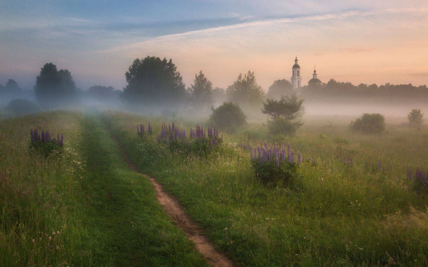 храм, туман, люпины,, Александр Стрельчук