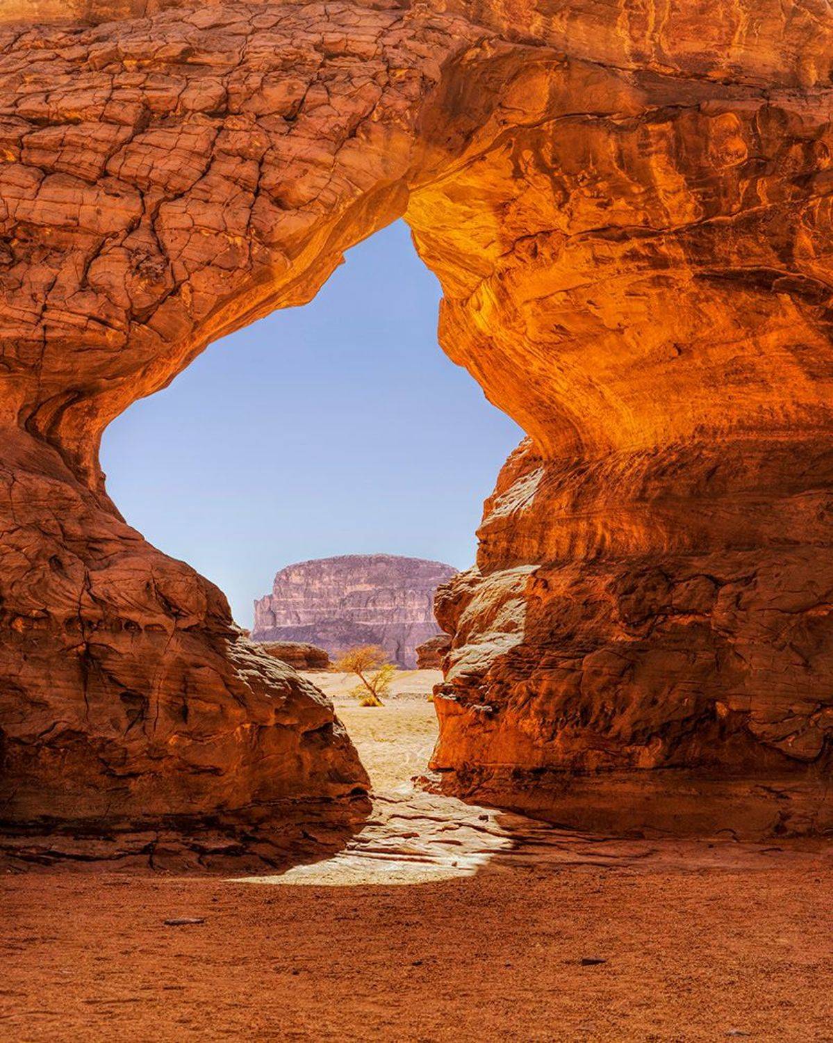 , Антипов Игорь