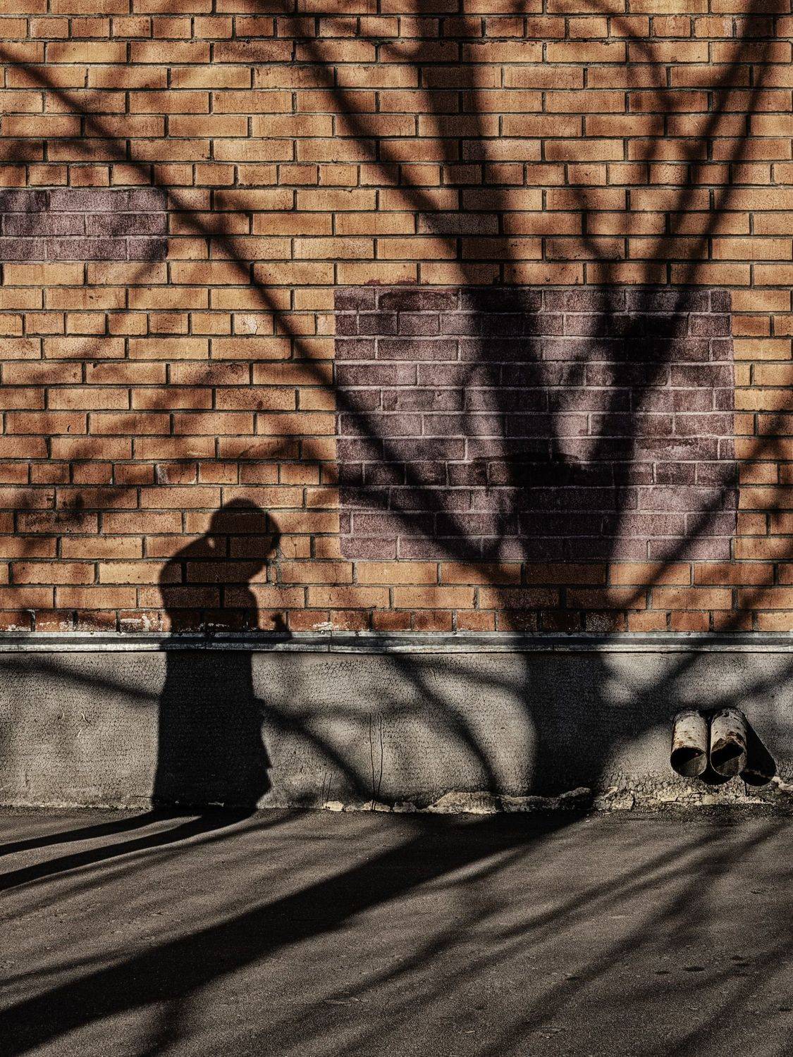 , Евгений Верещагин