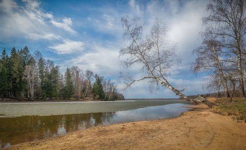 Последний лёд