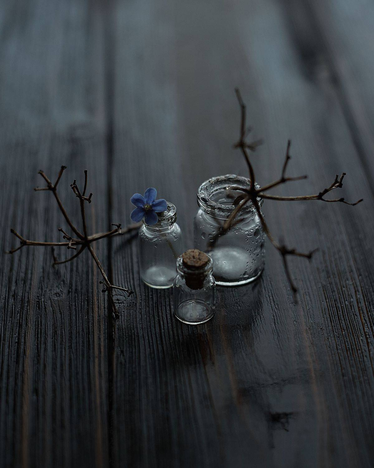 , Лисаускас Илья