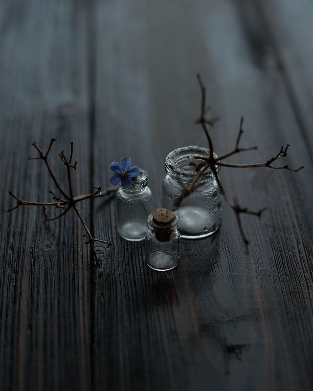 *** фото превью