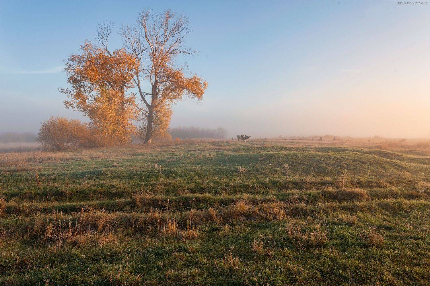 зауралье, курганская, Кутыгин Эдуард