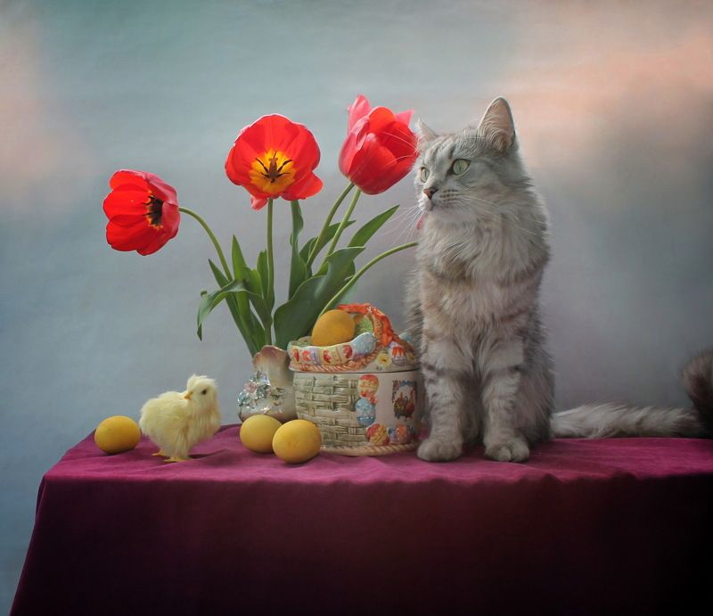 животные, кошки, натюрморт, пасха, тюльпаны, яйца Как Феня Пасху ждал (2) фото превью