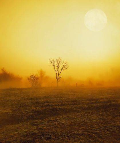 Марафон пустынных степей