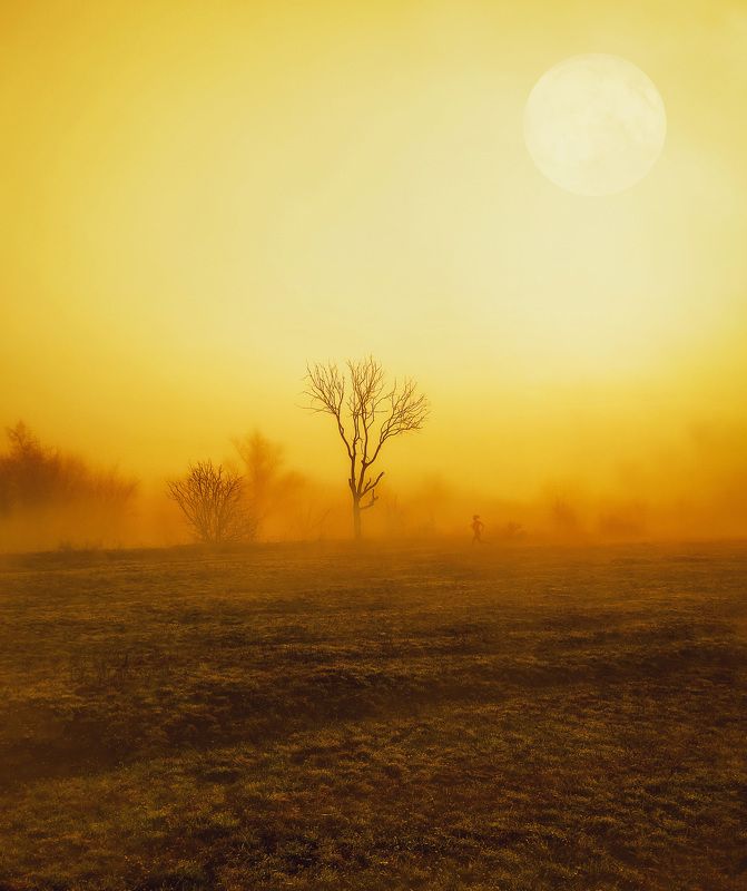 спорт,солнце,бег Марафон пустынных степей фото превью